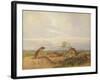 Townsend's Meadow Mouse, Meadow Vale and Swamp Rice Rat (Or Rice Meadow House)-John Woodhouse Audubon-Framed Giclee Print