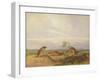 Townsend's Meadow Mouse, Meadow Vale and Swamp Rice Rat (Or Rice Meadow House)-John Woodhouse Audubon-Framed Giclee Print