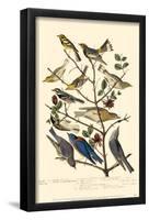 Townsend's Warbler's-null-Framed Poster