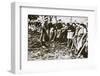 Townsfolk wait to scour the fields for potatoes left by farmers, Germany, World War I, c1914-c1918-Unknown-Framed Photographic Print