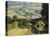 Towpath, Monmouth and Brecon Canal, Tal Y Bont, Powys, Mid-Wales, Wales, United Kingdom-David Hughes-Stretched Canvas