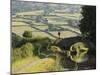 Towpath, Monmouth and Brecon Canal, Tal Y Bont, Powys, Mid-Wales, Wales, United Kingdom-David Hughes-Mounted Photographic Print