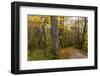 Towpath Trail in Autumn in Cuyahoga National Park, Ohio, USA-Chuck Haney-Framed Photographic Print