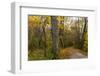 Towpath Trail in Autumn in Cuyahoga National Park, Ohio, USA-Chuck Haney-Framed Photographic Print