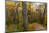Towpath Trail in Autumn in Cuyahoga National Park, Ohio, USA-Chuck Haney-Mounted Photographic Print