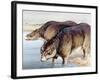 Toxodon-null-Framed Photographic Print