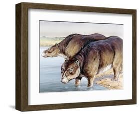 Toxodon-null-Framed Photographic Print