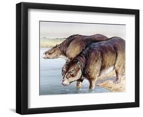 Toxodon-null-Framed Photographic Print