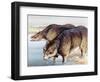 Toxodon-null-Framed Photographic Print