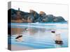 Toy Boats on Rocky Beach-Colin Anderson-Stretched Canvas