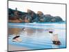 Toy Boats on Rocky Beach-Colin Anderson-Mounted Photographic Print