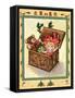 Toy Box-Judy Mastrangelo-Framed Stretched Canvas