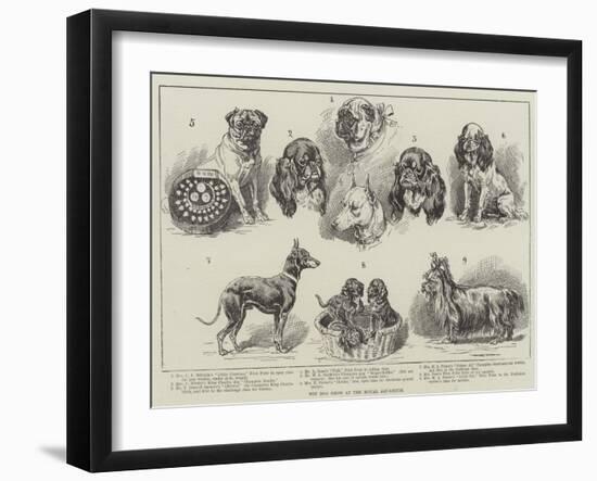 Toy Dog Show at the Royal Aquarium-null-Framed Giclee Print