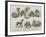 Toy Dog Show at the Royal Aquarium-null-Framed Giclee Print