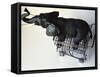 Toy Elephant in Toy Supermarket Cart-Winfred Evers-Framed Stretched Canvas