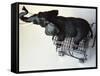 Toy Elephant in Toy Supermarket Cart-Winfred Evers-Framed Stretched Canvas