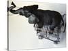 Toy Elephant in Toy Supermarket Cart-Winfred Evers-Stretched Canvas