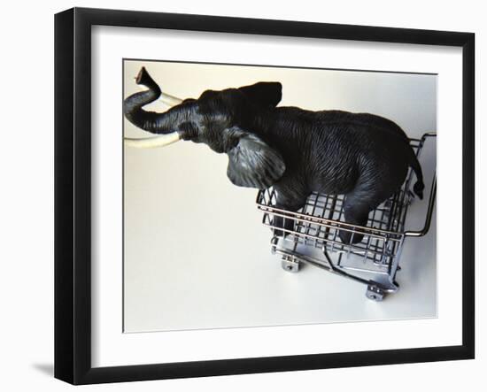 Toy Elephant in Toy Supermarket Cart-Winfred Evers-Framed Photographic Print