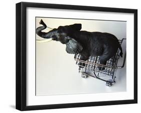 Toy Elephant in Toy Supermarket Cart-Winfred Evers-Framed Photographic Print