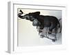 Toy Elephant in Toy Supermarket Cart-Winfred Evers-Framed Photographic Print