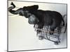 Toy Elephant in Toy Supermarket Cart-Winfred Evers-Mounted Photographic Print