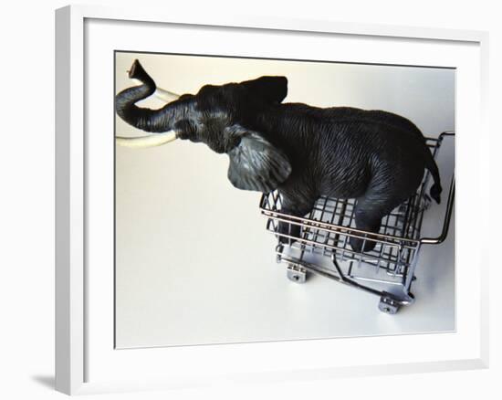 Toy Elephant in Toy Supermarket Cart-Winfred Evers-Framed Photographic Print