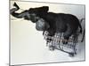 Toy Elephant in Toy Supermarket Cart-Winfred Evers-Mounted Photographic Print