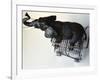 Toy Elephant in Toy Supermarket Cart-Winfred Evers-Framed Photographic Print