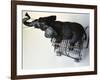 Toy Elephant in Toy Supermarket Cart-Winfred Evers-Framed Photographic Print