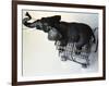 Toy Elephant in Toy Supermarket Cart-Winfred Evers-Framed Photographic Print