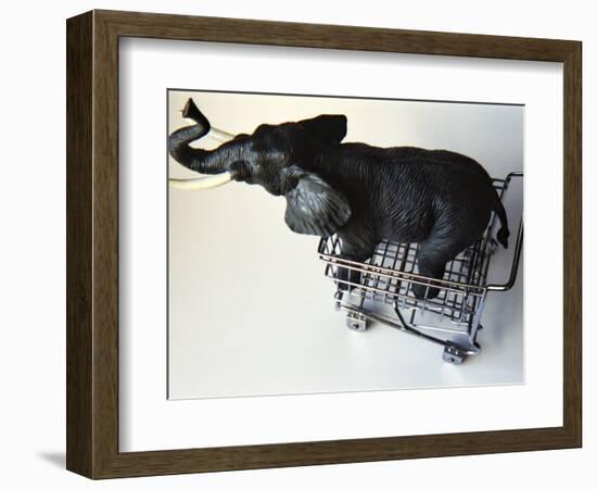 Toy Elephant in Toy Supermarket Cart-Winfred Evers-Framed Photographic Print