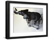 Toy Elephant in Toy Supermarket Cart-Winfred Evers-Framed Photographic Print