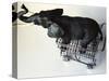 Toy Elephant in Toy Supermarket Cart-Winfred Evers-Stretched Canvas