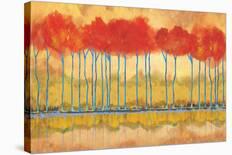 Autumn Pond-Toy Jones-Stretched Canvas