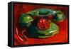 Toy Telephone-Pam Ingalls-Framed Stretched Canvas