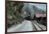 Toy Train En Route for Darjeeling, West Bengal State, India-Sybil Sassoon-Framed Photographic Print