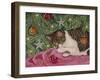 Toyland-Jan Benz-Framed Giclee Print