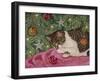 Toyland-Jan Benz-Framed Giclee Print