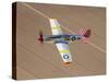 TP-51C Mustang Over the Central Arizona Desert-Stocktrek Images-Stretched Canvas