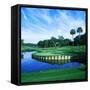 Tpc at Sawgrass, Ponte Vedre Beach, St. Johns County, Florida, USA-null-Framed Stretched Canvas