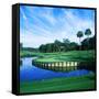 Tpc at Sawgrass, Ponte Vedre Beach, St. Johns County, Florida, USA-null-Framed Stretched Canvas