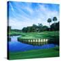 Tpc at Sawgrass, Ponte Vedre Beach, St. Johns County, Florida, USA-null-Stretched Canvas