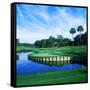 Tpc at Sawgrass, Ponte Vedre Beach, St. Johns County, Florida, USA-null-Framed Stretched Canvas