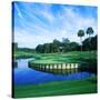 Tpc at Sawgrass, Ponte Vedre Beach, St. Johns County, Florida, USA-null-Stretched Canvas