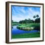 Tpc at Sawgrass, Ponte Vedre Beach, St. Johns County, Florida, USA-null-Framed Photographic Print