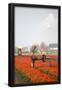 Essential Black