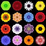 Yellow Concentric Flower Center: Mandala Kaleidoscopic Design-tr3gi-Art Print