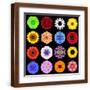 Brown Frame