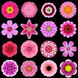 Pink Concentric Flower Center: Mandala Kaleidoscopic-tr3gi-Art Print