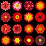 Big Collection of Various Colorful Pattern Flowers-tr3gi-Art Print
